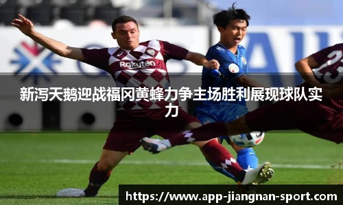 新泻天鹅迎战福冈黄蜂力争主场胜利展现球队实力